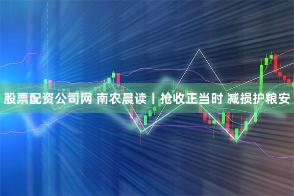 股票配资公司网 南农晨读丨抢收正当时 减损护粮安
